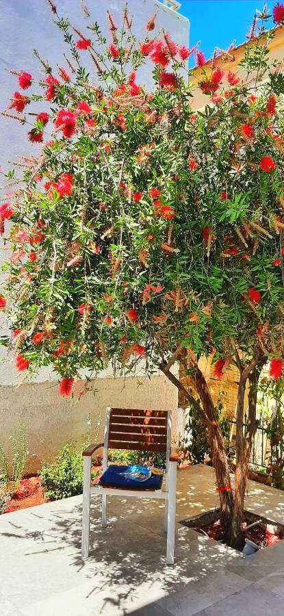 The Central Villa - Kassiopi Corfu Villas Bagian luar foto